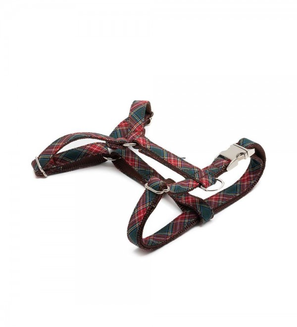 Dog Harness H - Beret