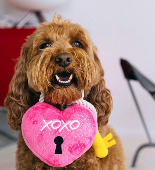 Peluche Perro Corazón con Llave