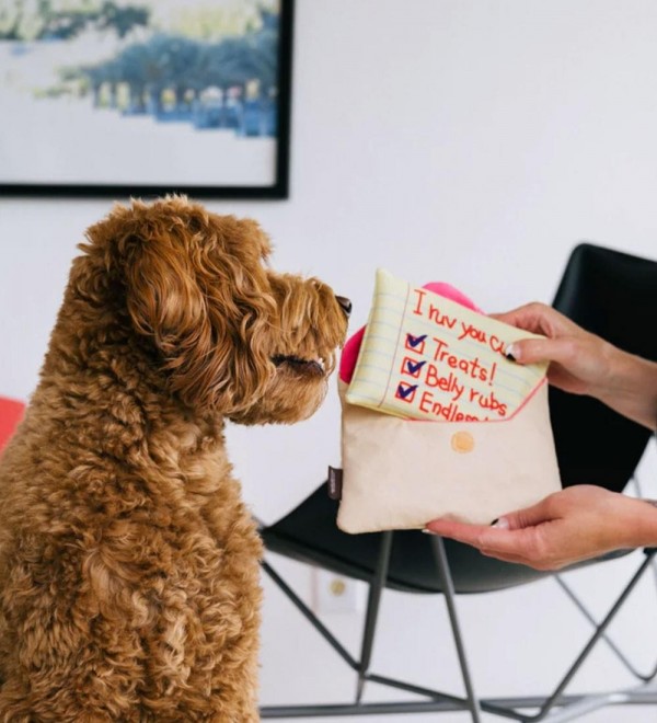 Stuffed Dog Love Letter