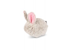 Plush Rabbit Dog Toy