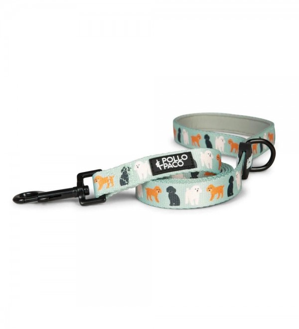 Leash Dog Poodles