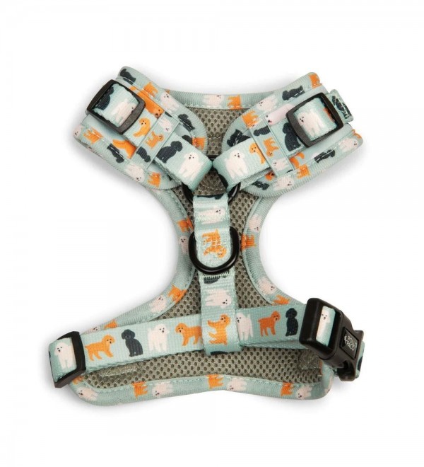 Dog harness for poodles