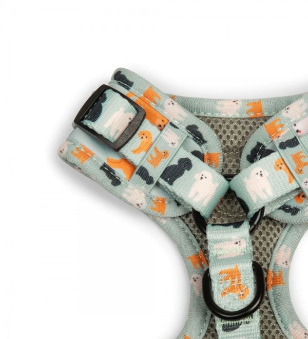 Dog harness for poodles