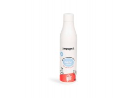 Kefir for dogs - Carrot and pear