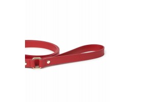 Leash Leather Dog Leash - Nara Regular Red