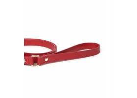 Leather Dog Leash - Nara Regular Red