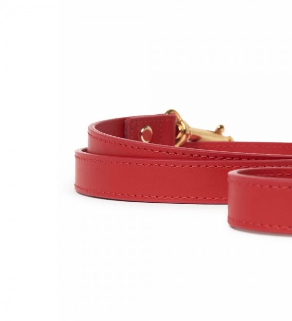Leash Leather Dog Leash - Nara Regular Red