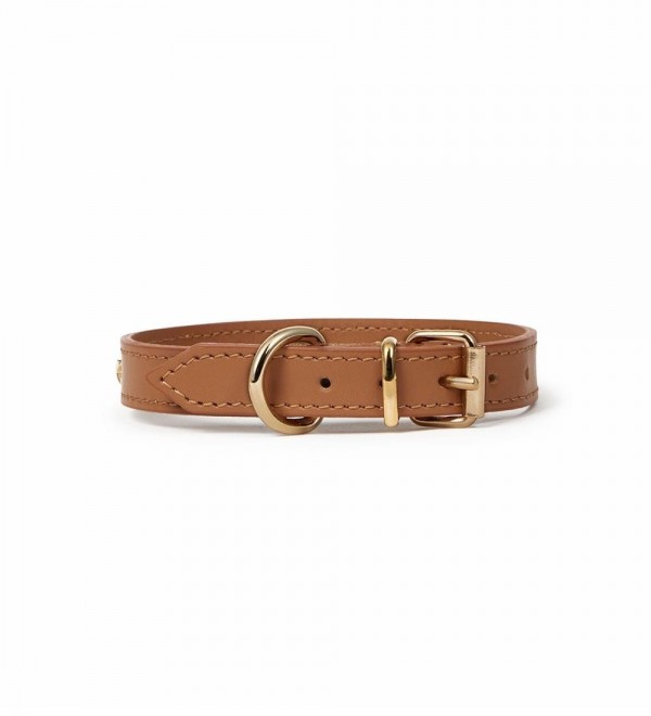 Collar Cuero Perro - Nara Toy Camel