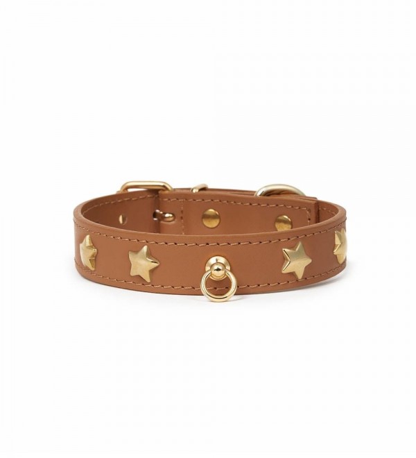 Collar Leather Dog Collar - Nara Regular Camel