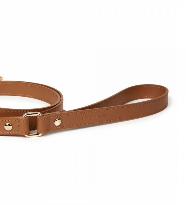 Leash Leather Dog Leash - Nara Regular Camel