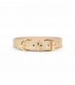 Collar Leather Dog - Golden Metal Toy