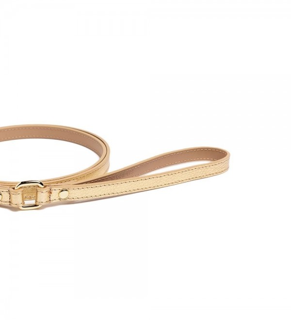 Leash Leather Small Dog Leash - Gold Metal Toy