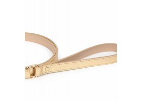 Leather Dog Leash - Metal Regular Gold