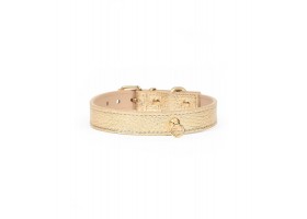 Collar Leather Dog - Regular Gold Metal