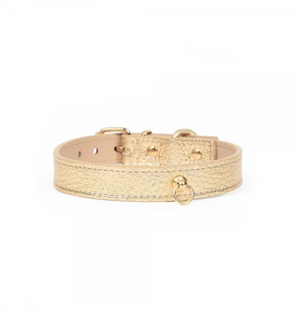 Collar Leather Dog - Regular Gold Metal