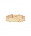 Collar Leather Dog - Regular Gold Metal