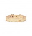 Leather Dog Collar - Regular Gold Metal