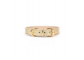 Collar Leather Dog - Regular Gold Metal