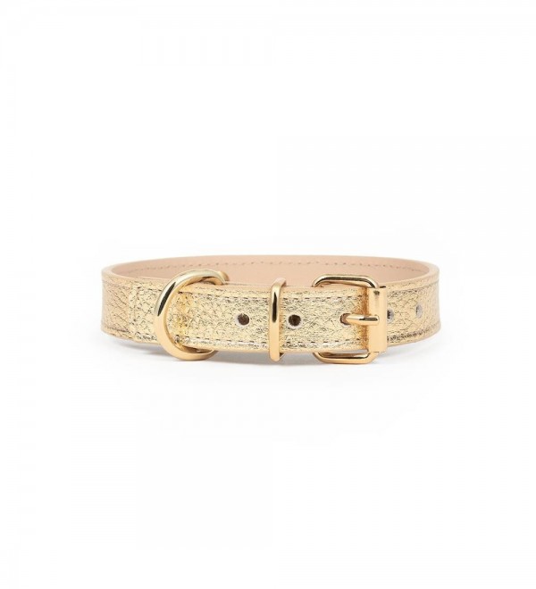 Collar Cuero Perro - Metal Regular Dorado