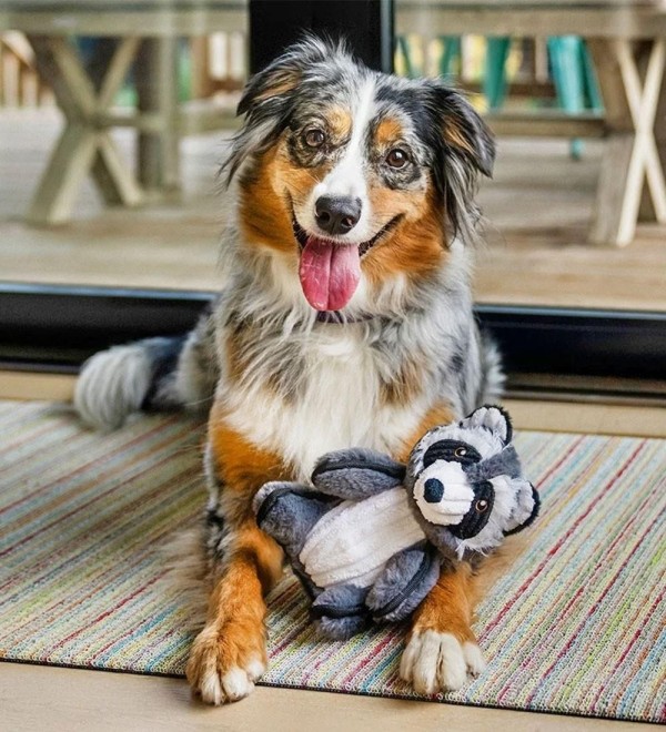 Raccoon Plush Toy for Dogs