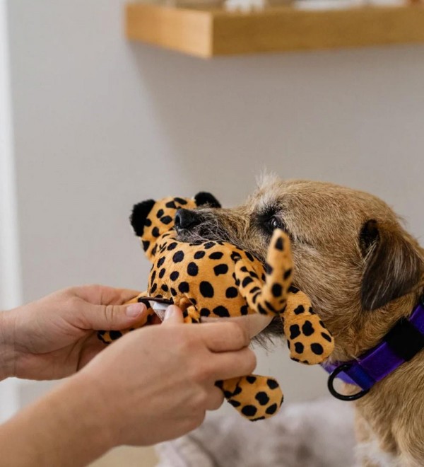 Large Leopard Dog Plush