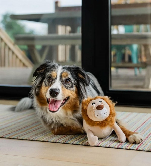 Stuffed Lion Dog