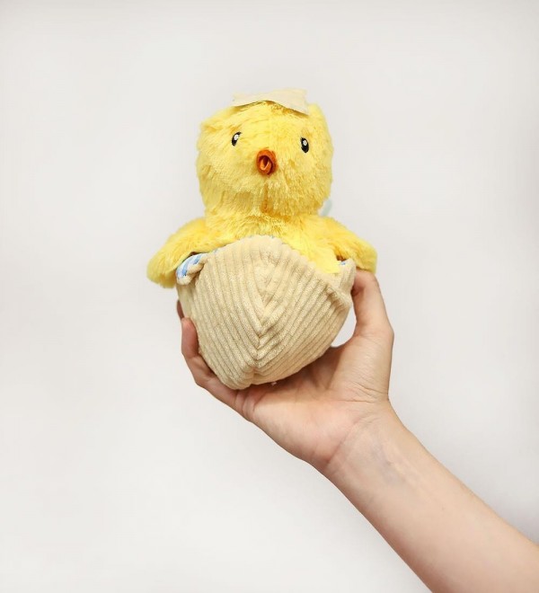 Chick Teddy