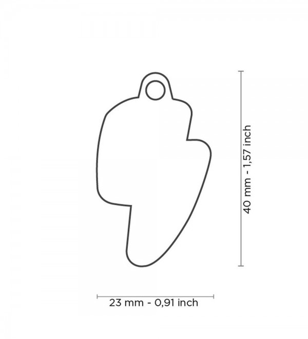 Chapa perro - Charms Relámpago