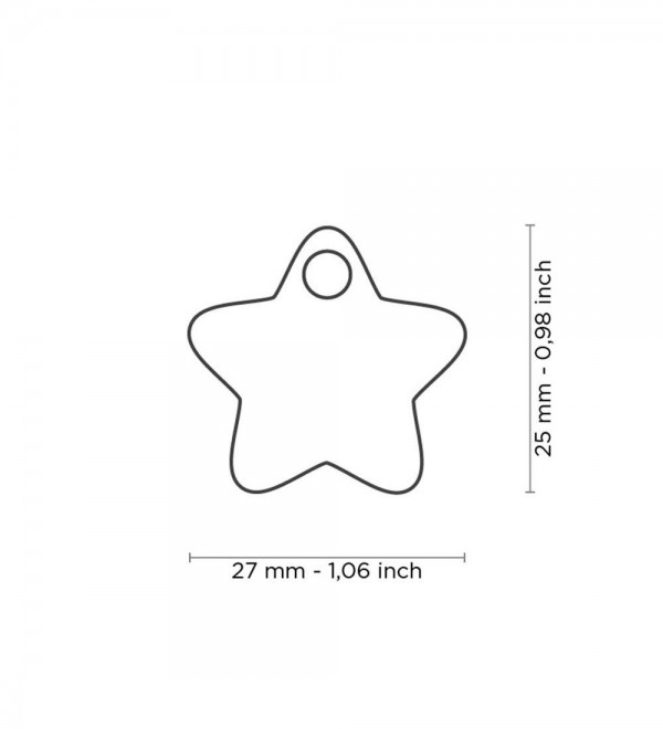 Dog tag - Star charms