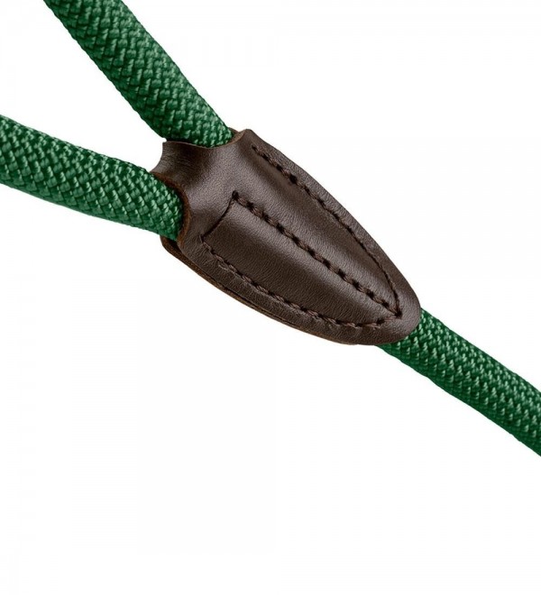Collar for dog - Freestyle Green