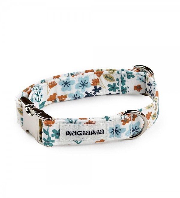 Collar for dog - Ali