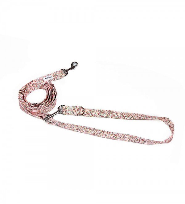 Multiposition Dog Leash - Victoria