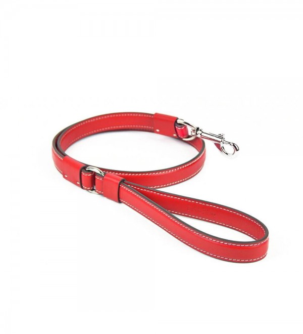 Correa para Perros Grandes Strong Amapola