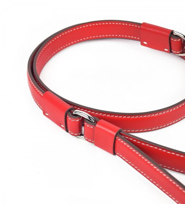 Correa para Perros Grandes Strong Amapola