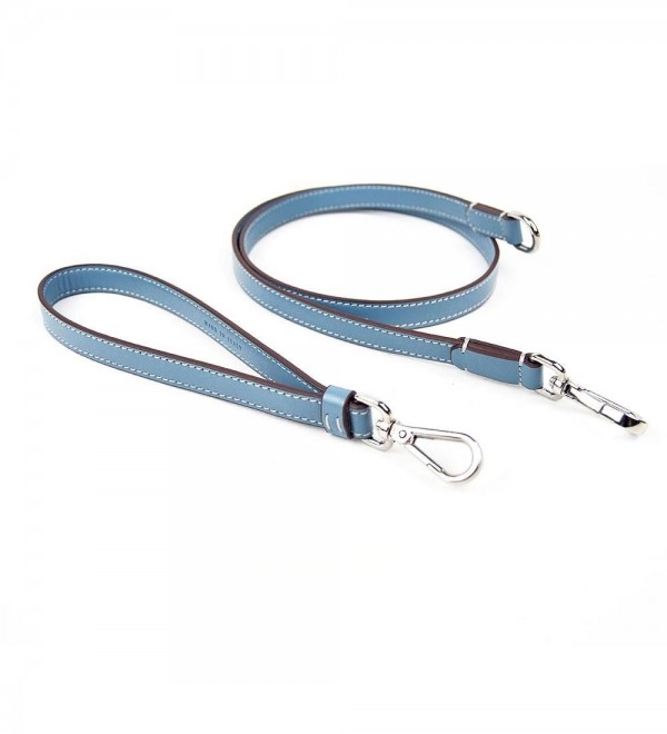 Leash Perro Ego Azul