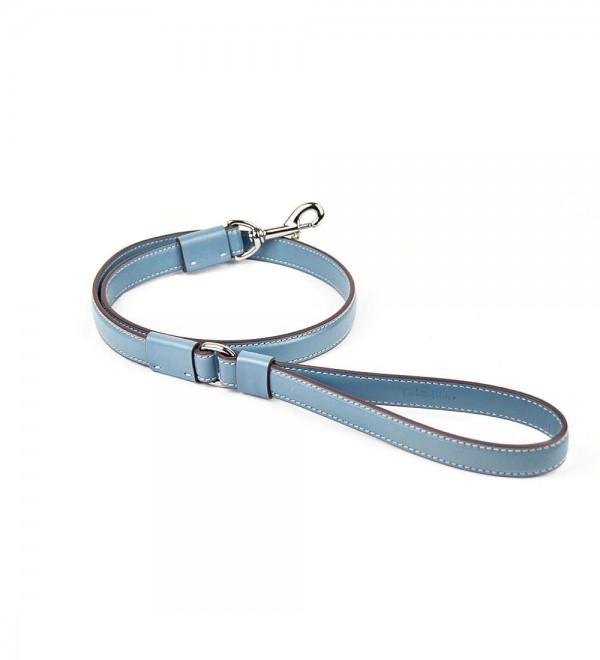 Leash para Perros Grandes Strong Azul