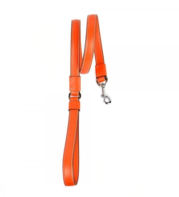 Leash para Perros Grandes Strong Naranja