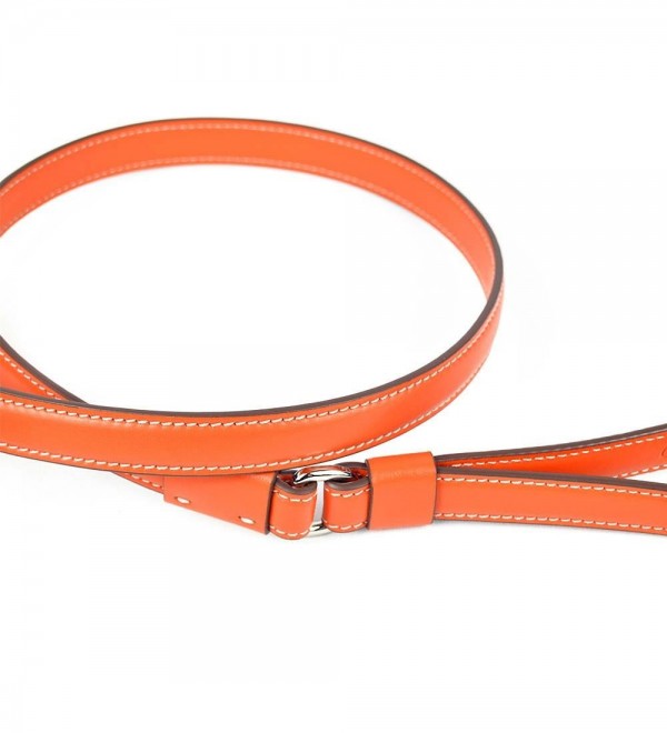 Correa para Perros Grandes Strong Naranja