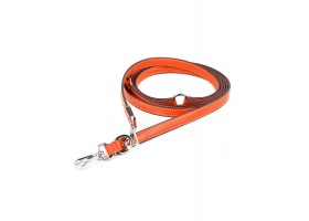 Libero Multiposition Leash Orange