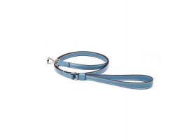 Mini Blue Strap