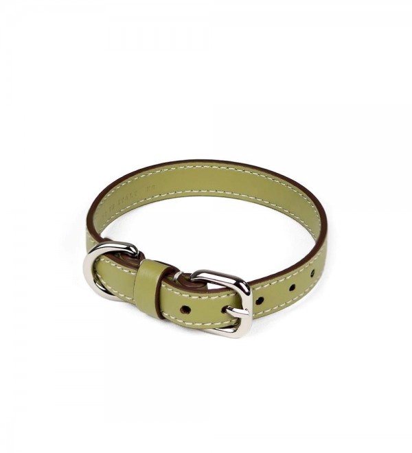 Collar Cuero Perro - Essential Oliva