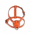 Nuvola Harness Orange