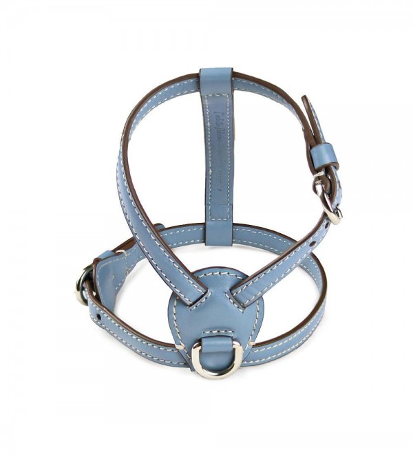 Leather Dog Harness - Blue Cloud