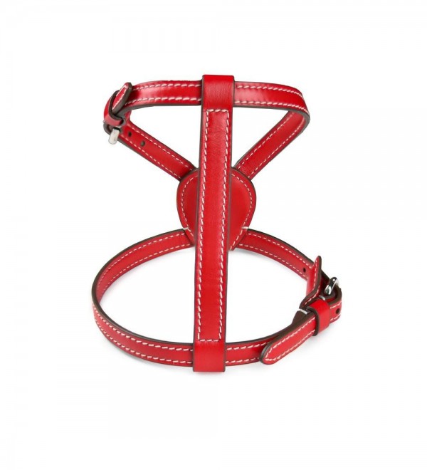 Leather Dog Harness - Nuvola Amapola