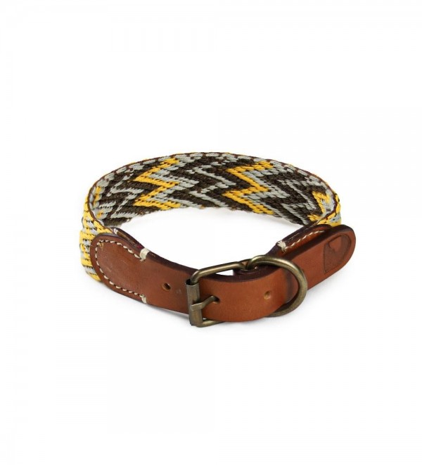 Leather Dog Collar - Peruvian Gold Petite