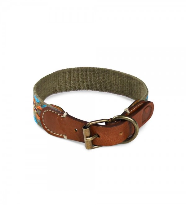 Leather Dog Collar - Etna Green Petite