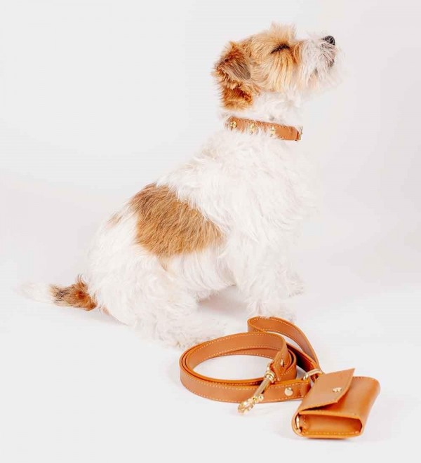 Correa Cuero para Perro - Nara Regular Camel