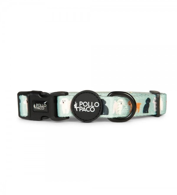 Collar Dog Poodles