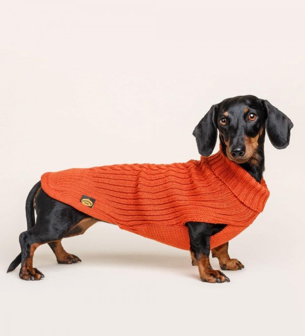 Braided Orange Dog Sweater