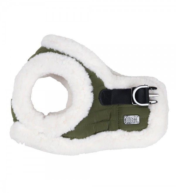 Joakim Small Dog Harness